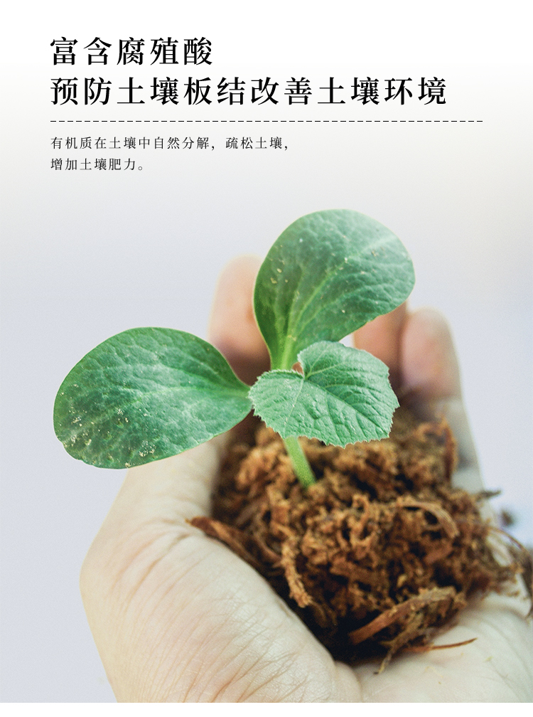 详情4号_08.jpg