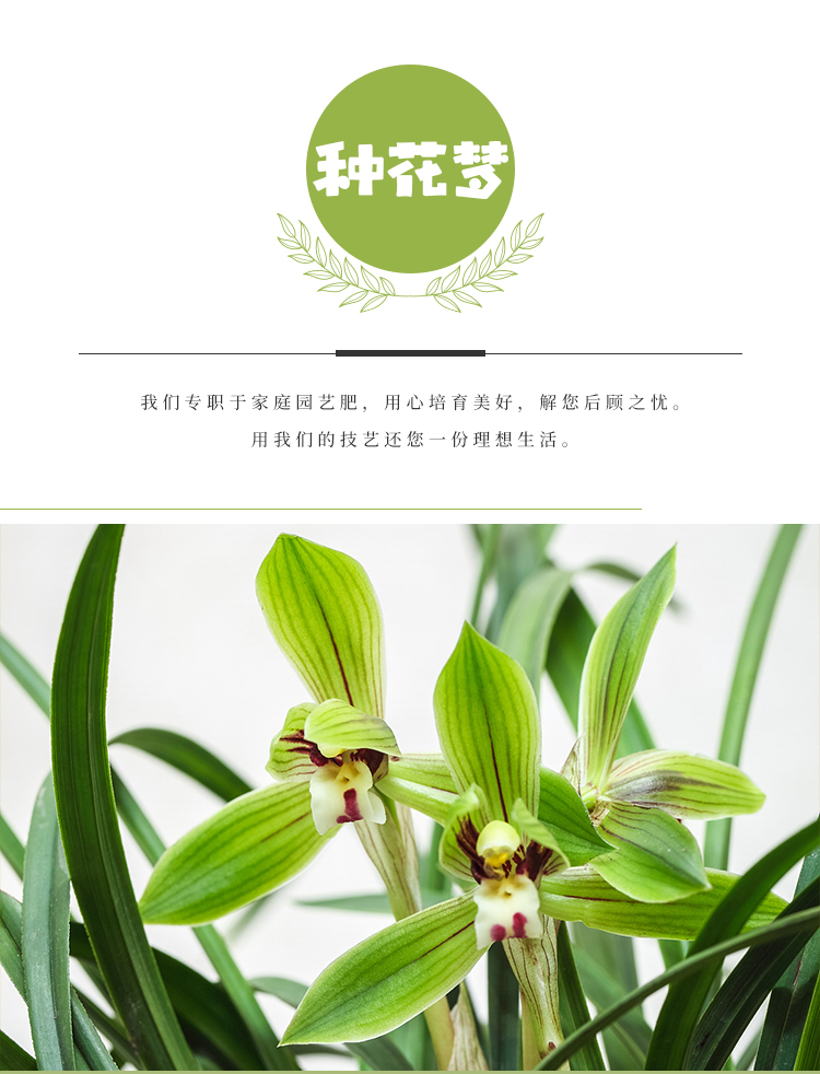 详情4号_01.jpg