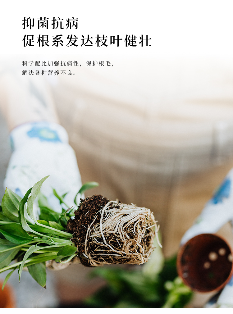 详情4号_09.jpg