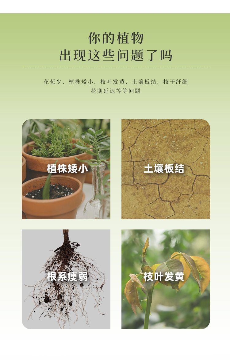 详情4号_05.jpg