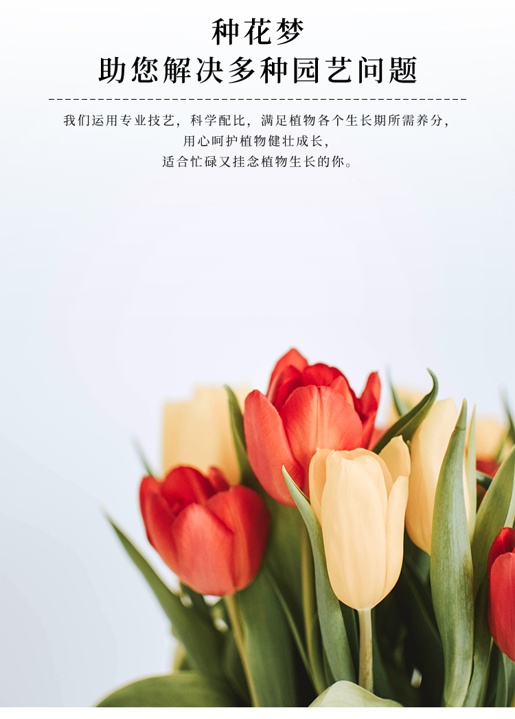 详情2号_06.jpg