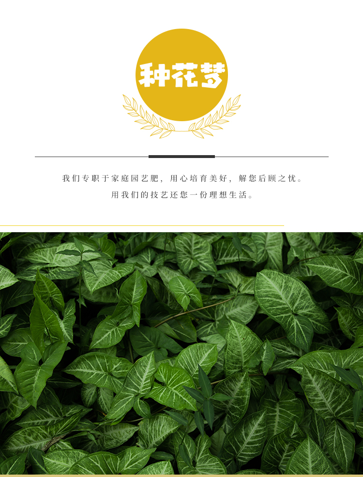 详情2号_01.jpg