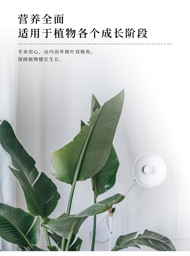 详情2号_10.jpg