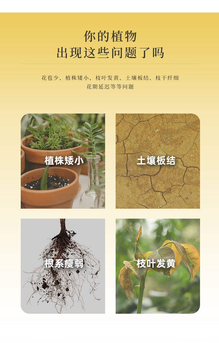 详情2号_05.jpg